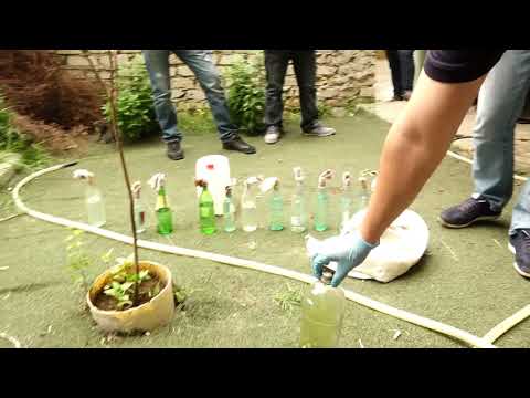 შსს - დაკავებულია პირი, რომელიც აქციაზე ე.წ. მოლოტოვის კოქტეილის გამოყენებას გეგმავდა