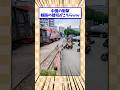 中国の衝撃の線路の踏切がこちら