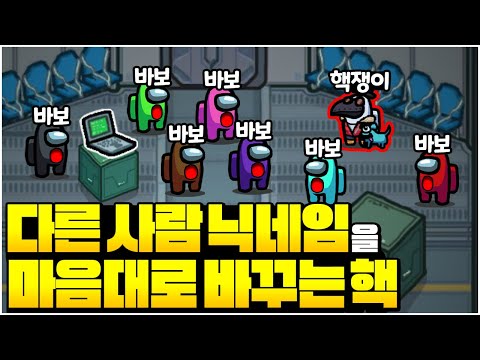 닉네임을 마음대로 바꾸는 핵을 만났습니다; 강퇴도 못함..ㅠ - 어몽어스