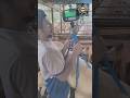 How Goats Are Weighed Using a Hanging Livestock Scale #9work
