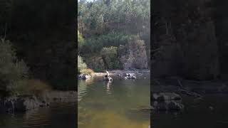 PRAIA FLUVIAL AREINHO, AROUCA 🇵🇹