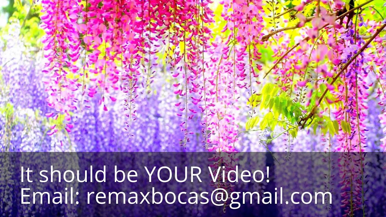 wascana florist regina sask YouTube