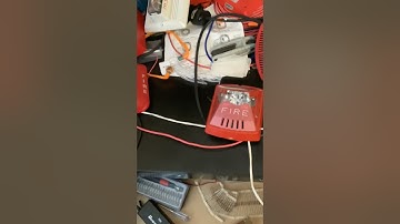 Wheelock exceder wall mount and system sensor  srl test overview