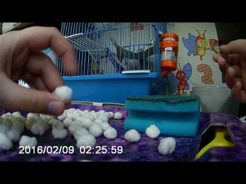 Как сделать целлюлозный наполнитель!!! - YouTube