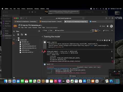 Image Recognition Example in Python