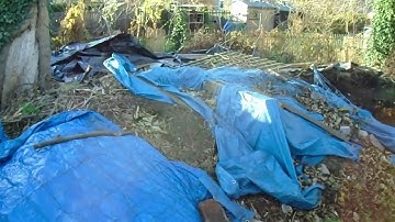 Overview of the Community Composting at Ferry Road Allotments.