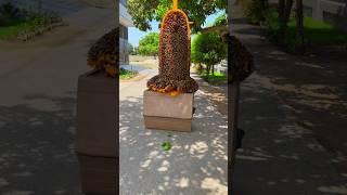 Allah dehk rha ha viral prayer emotional shortvideo shorts