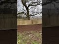 Timber Closeboard Fencing Installation in Leicestershire | Groundzman
