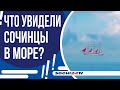 СТРАННОЕ ЯВЛЕНИЕ В МОРЕ СОЧИ