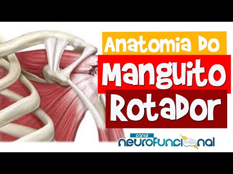 ANATOMIA DO MANGUITO ROTADOR (Origem, Inserção e Ação) - Rogério Souza