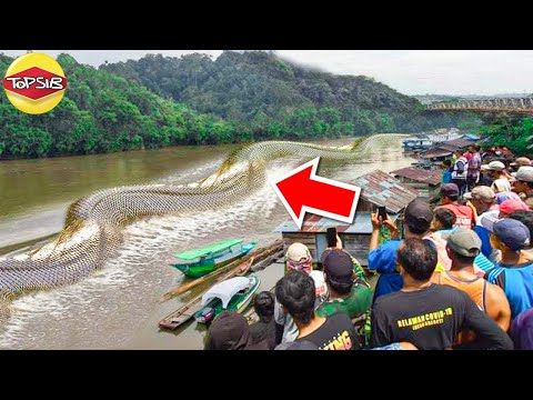 ข่าวสารเกี่ยวกับการพัฒนาอาชีพ