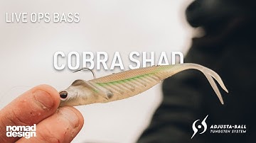 Live Ops Adjusta Ball Tungsten System – Ultimate Control Over Your Soft Plastics | COBRA SHAD