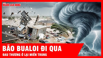 Thiệt hại chồng chất, bão số 10 khiến nhiều tỉnh miền Trung đổ nát, tan hoang | Tin tức