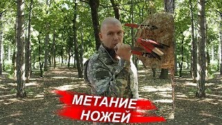 Как метать ножи. За лезвие. За рукоять. Все виды метания ножей. Школа Силы (г. Краснодар) Как метать ножи. За лезвие. За рукоять. Все виды метания ножей. Школа Силы (г. Краснодар)