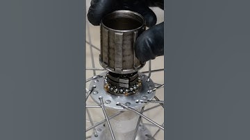 Old Shimano Freehub Rebuild - Like Brand New Again!