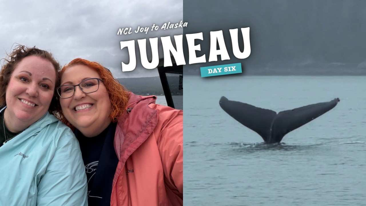We NEVER Expected to See THIS in Alaska! 🐋🤯