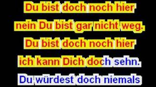 Karaoke - Du bist doch noch hier-Howard Carpendale.flv