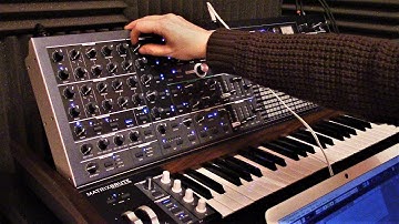 (Matrixbrute + External Audio (Piano)): "Child From an Odd Place"