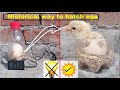 Hatch eggs without an egg incubator 100% real video || egg hatching. without electricity 🔌