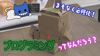 まもなく必修化！『プログラミング』って！？【マスクにゃんニュース】