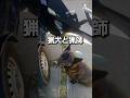 猟犬と猟師【にわとりが２羽やられた】 #犬のいる暮らし #犬動画 #犬 #犬のいる生活 #犬好きさんと繋がりたい