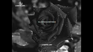 🖤Hey Choosa - song {slowed & Reverb} ✨ | Bheeshma movie | (Telugu) | Nithiin, Rashmika