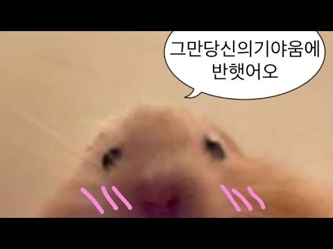 뭐?내가 1등? 최있일 최근에 있었던 일 소시액 소규모시리즈액괴 소액시 시액 시리즈액괴 액시 파연카시리즈