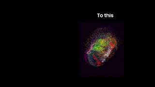 Brain Umap to Spatial Map Video (no audio)