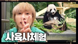 (EN/JP) 에버랜드 놀러 왔다 일하고 갔어요 (feat. 에버랜드 직원????)| 일단은혁이 | Vlog