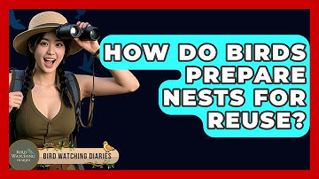 How Do Birds Prepare Nests For Reuse? - Bird Watching Diaries