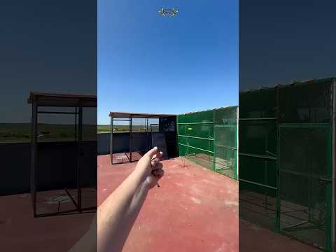     بناء محمية الطيور