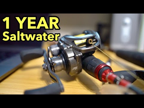 Lew's Fishing Reel vs. Saltwater / There's something you should know about  this reel! 