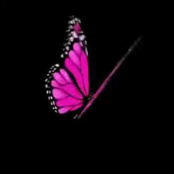 3D butterfly for AUSIDA 3D ologramma