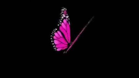3D butterfly for AUSIDA 3D ologramma