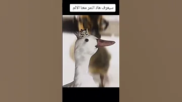 اينمي نوروتو سعرف هاذ العالم معنا الالم 