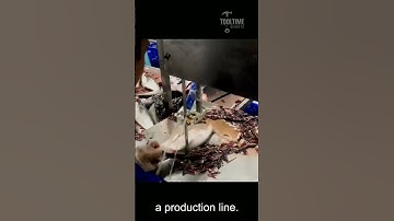 Fish Processing Machine – Good Tools and Machinery Can Increase Work Efficiency