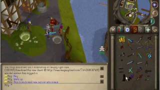 silab client new server with customs