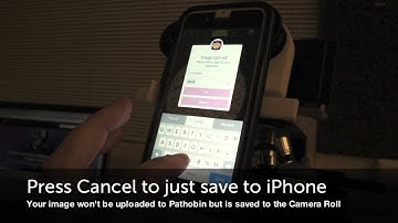 iPathobin - an app for taking microscope photos