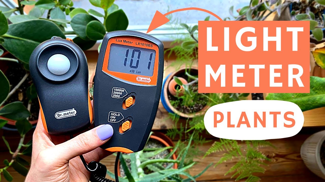 HOW TO USE LIGHT METER FOR PLANTS YouTube how-to-use-light-meter-for-plants-youtube