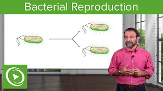 Bacterial Reproduction: Heterotrophy \& Autotrophy – Microbiology | Lecturio