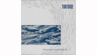 Tortoise - Along the Banks of Rivers