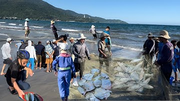 Ngư dân đà nẵng trúng mẻ lưới cá nục má với cá tràn