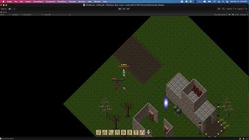 Ultima Online in Unity with Multiplayer