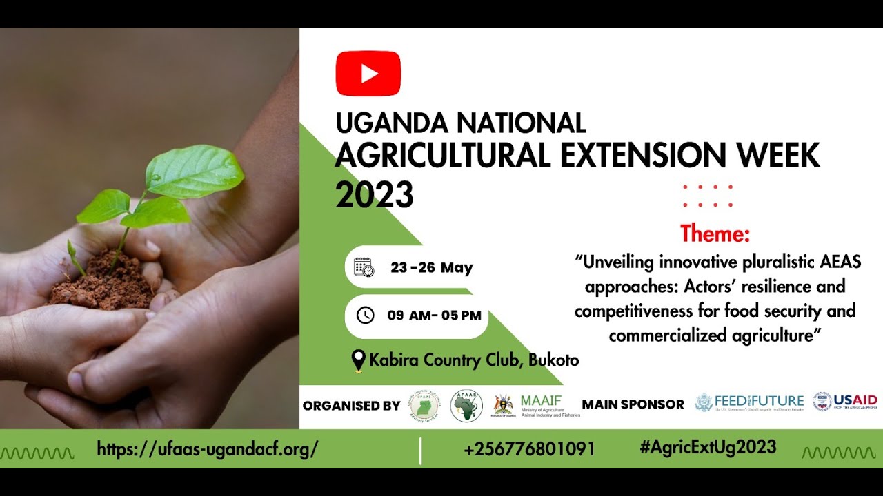The Uganda National Agricultural Extension week YouTube