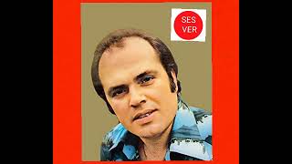 Yalancısın - Celal Zor Resimi