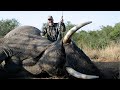 BFHA | Season 1, Episode 10 | Cape Buffalo & Elephant