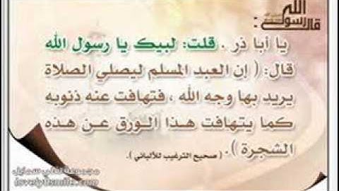 محمد سليمان المحيسني - سورة الأعراف