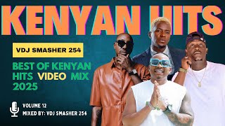 BEST KENYAN HITS VIDEO MIX 2025 VDJ SMASHER 254 VOL 12 | DONJO MABER, BIEN, WAKADINALI & TIKI TAKO