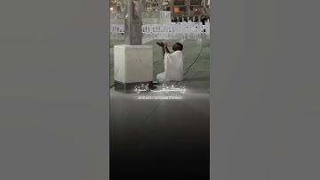قرأن كريم بصوت جميل جدا تلاوه خاشعه تبكي الحجر