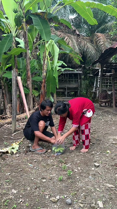 Memb4ntu tapi d4pat h4sil 🤣#reels #fyp #viral #komedi #lucu #lawak #kontensuamiistri #ngakak #funny